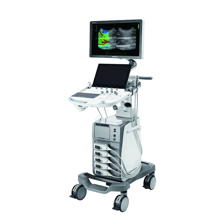 Sonoscape ProPet 70 wholesale price vet ultrasound machine 3D 4D color doppler Digital ultrasound scanner for veterinary