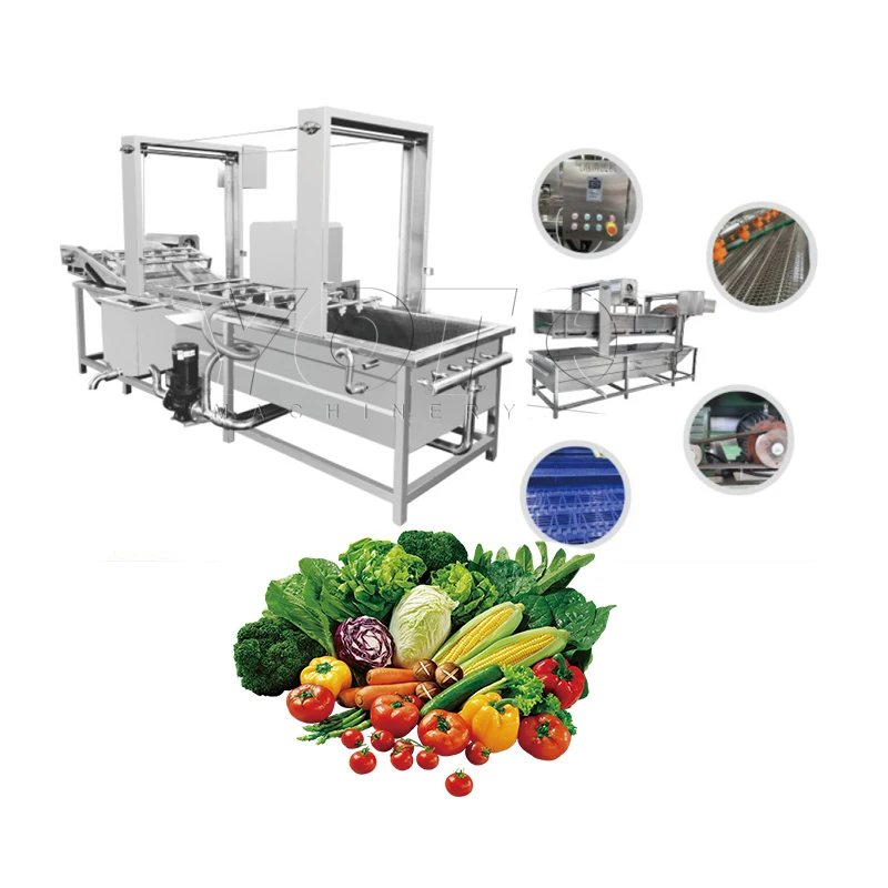 machine to wash and pack vegetable complete chain