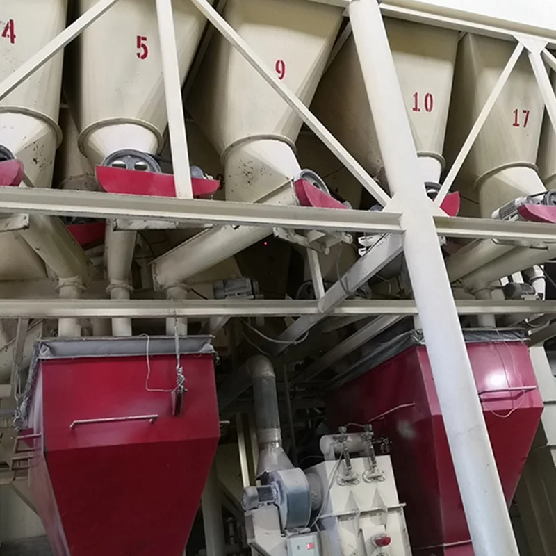 Concentrated feed premix for broiler chickens