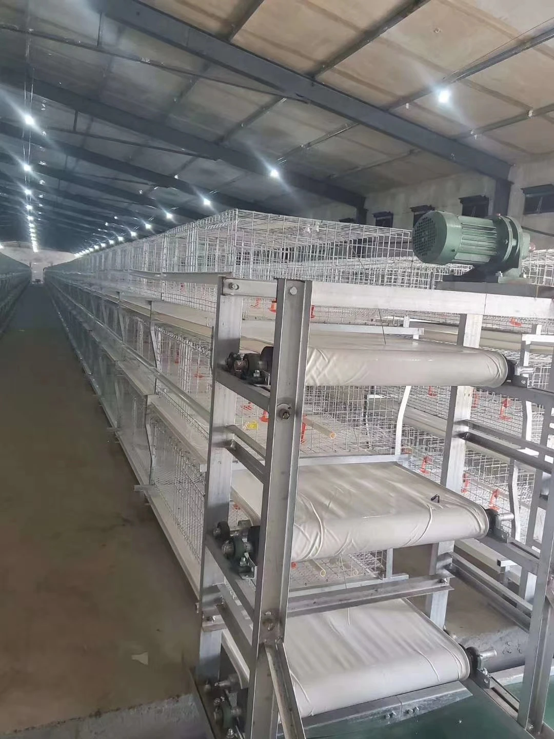 Chicken cage for broilers roosters cage