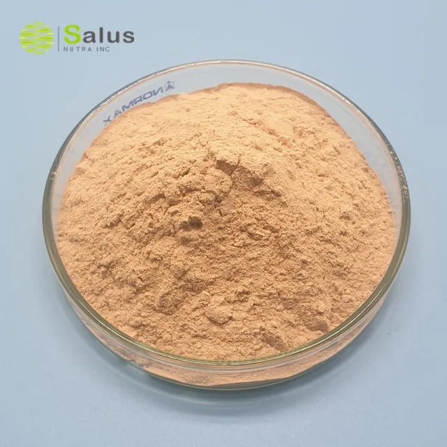 Factory Wholesale Additives Probiotics Powder Bacillus Coagulans