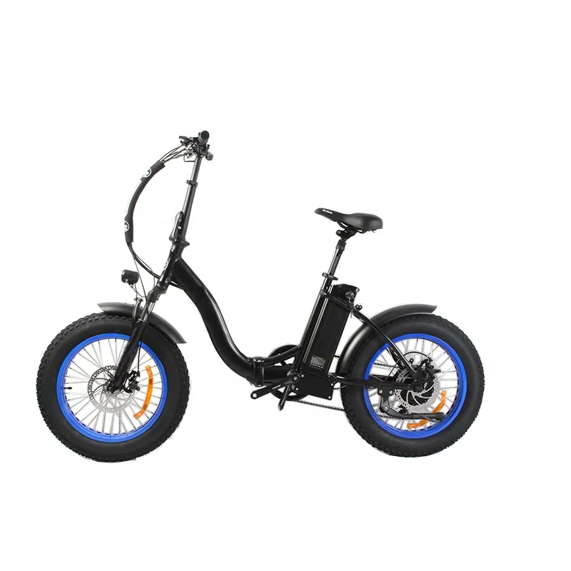 750W Fat Tire Electric Bike for Adults 48V 15Ah LG Battery E 20*4.0 Step Thru Bikes