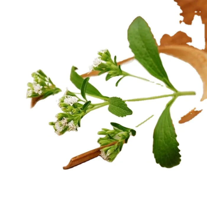 
Best sell High quality stevia Erythritol powder 