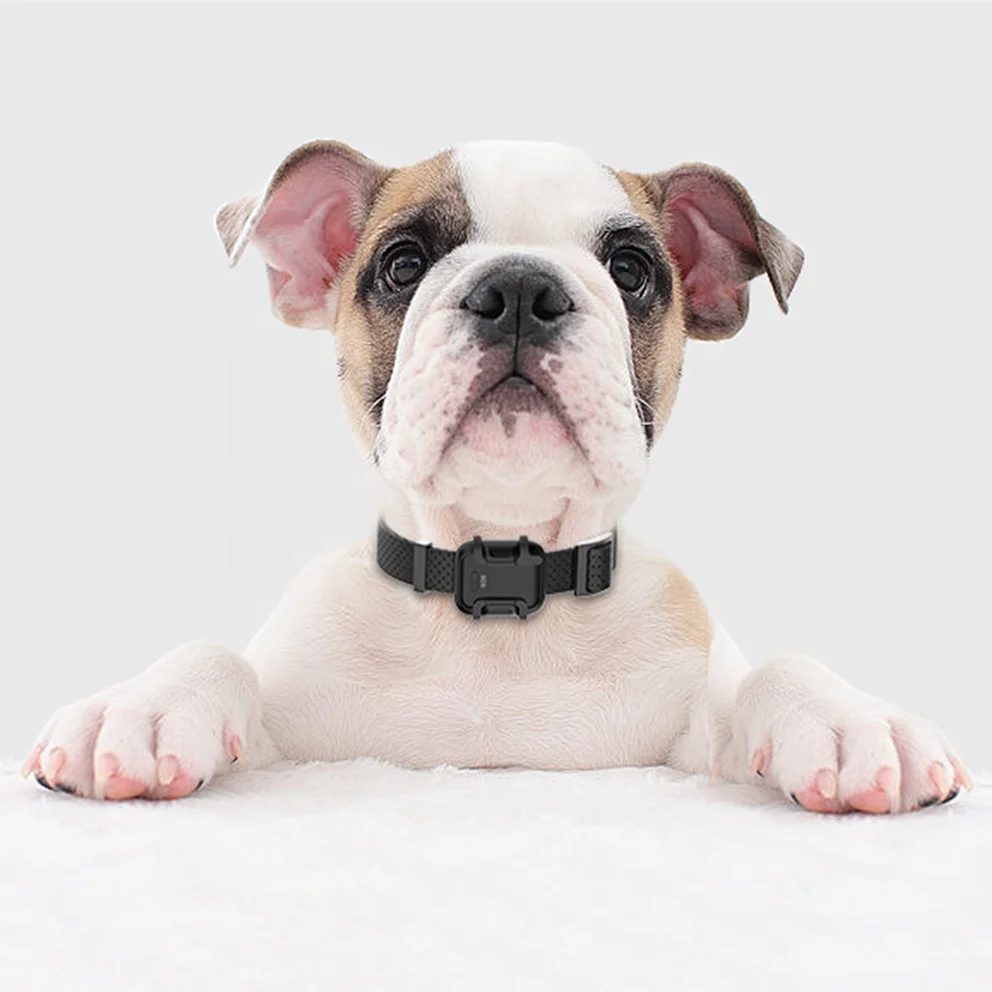 Free Positioning Platform Micro Cat Dog Mini Pet GPS GSM Tracker with Smart Sensor Light Ring Tone Training