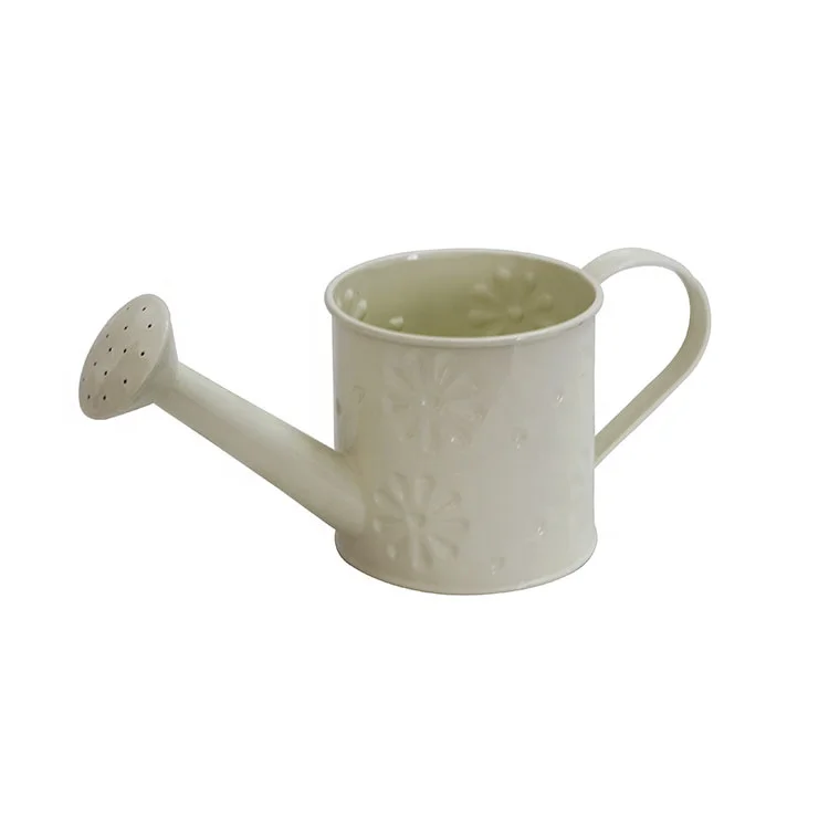 
Color Custom Embossed round small metal indoor watering can 