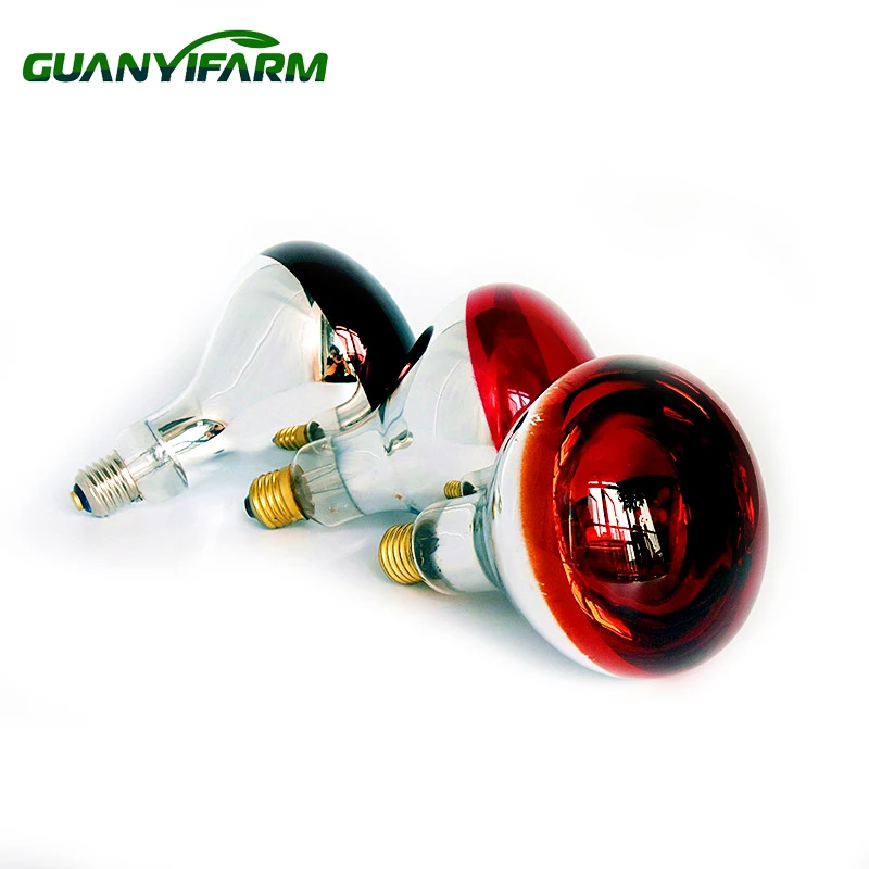 2021 heat light Half top roasted red 230V 150W 250W R125 infrared heat lamp bulb  for poultry farm chicks swine warm