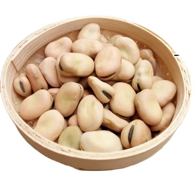 Wholesale Dried Broad Beans