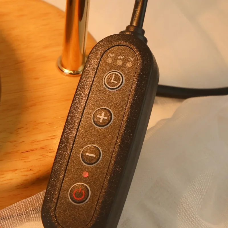 2024 Wholesale Hot Modern Wood Base Candle Wax Warmer Lamp Adjustable Switch Dimmer Electric Scented for Indoor