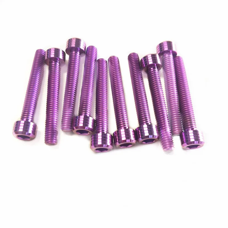 M6 titanium bolts for motorcycle  purple  GR5