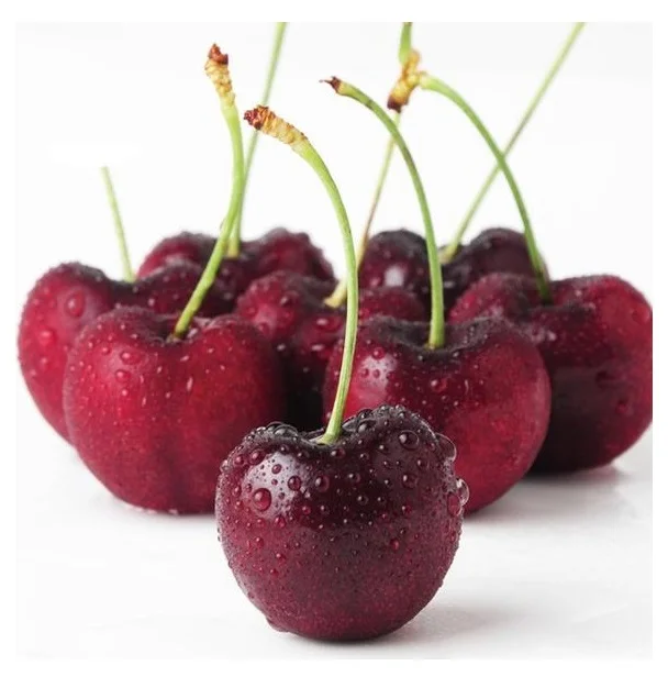 Cost-effective 100% natural fresh fruits class A red Australian fresh cherries