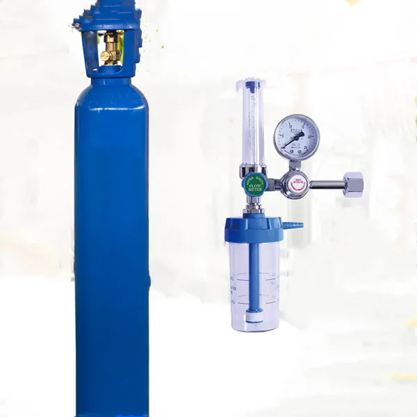 GOGO 1L/2L/4L/5L/8L/10L/15L/20L/40L Portable Oxygen Balloon Medical Gas Cylinder Trolley With QF Valve