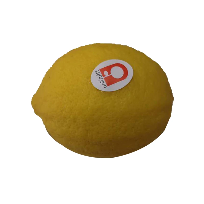 China Wholesale Top Quality Fresh Lemon In Bulk