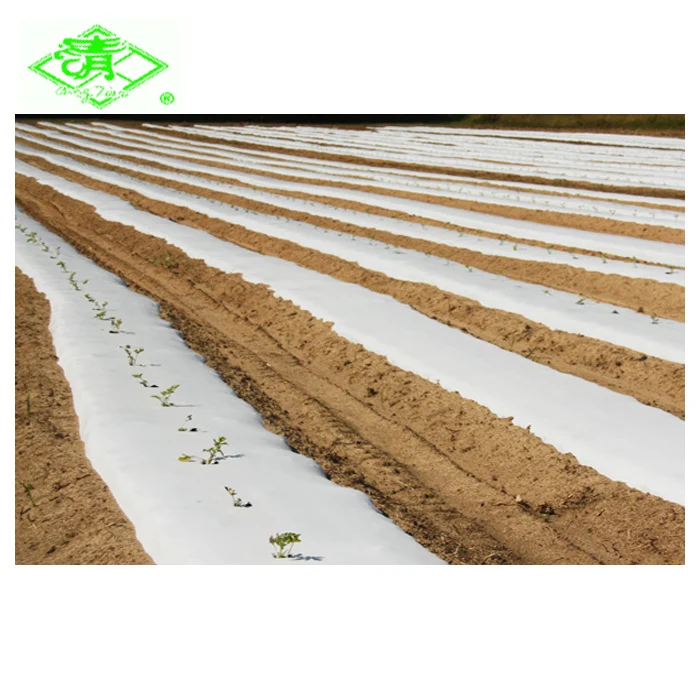 Agriculture or garden use plastic mulch film with hole