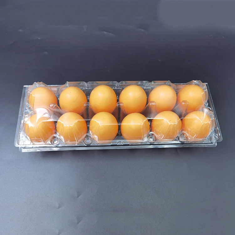 6-Row 12 Grid PET Plastic Customized Egg Transparent Plastic Box