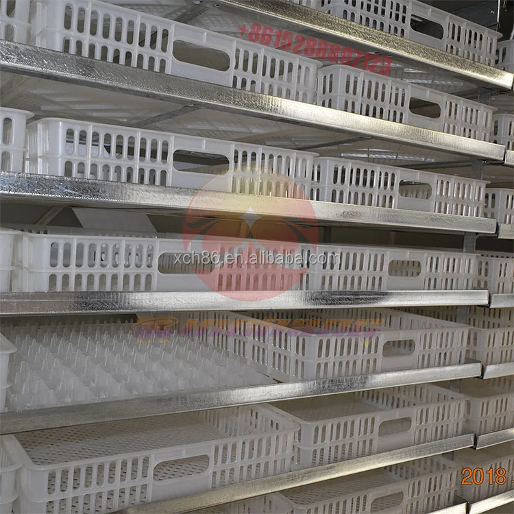 For Sale 5000 Incubator Automatic Egg Incubators In Dubai(5000 Eggs) auto egg turner incubator