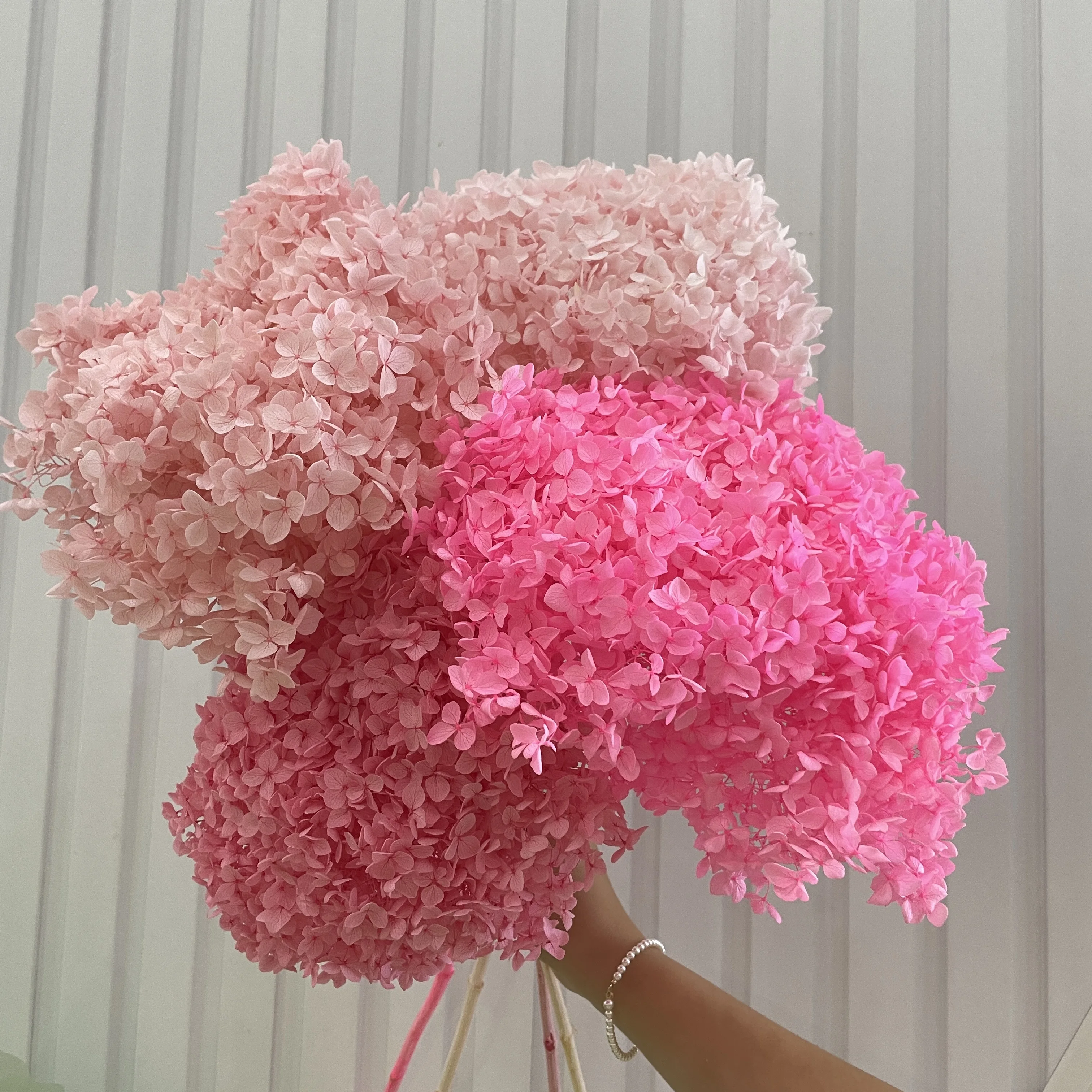 factory sales  preserved real dry good quality anna hydrangea wedding decoration