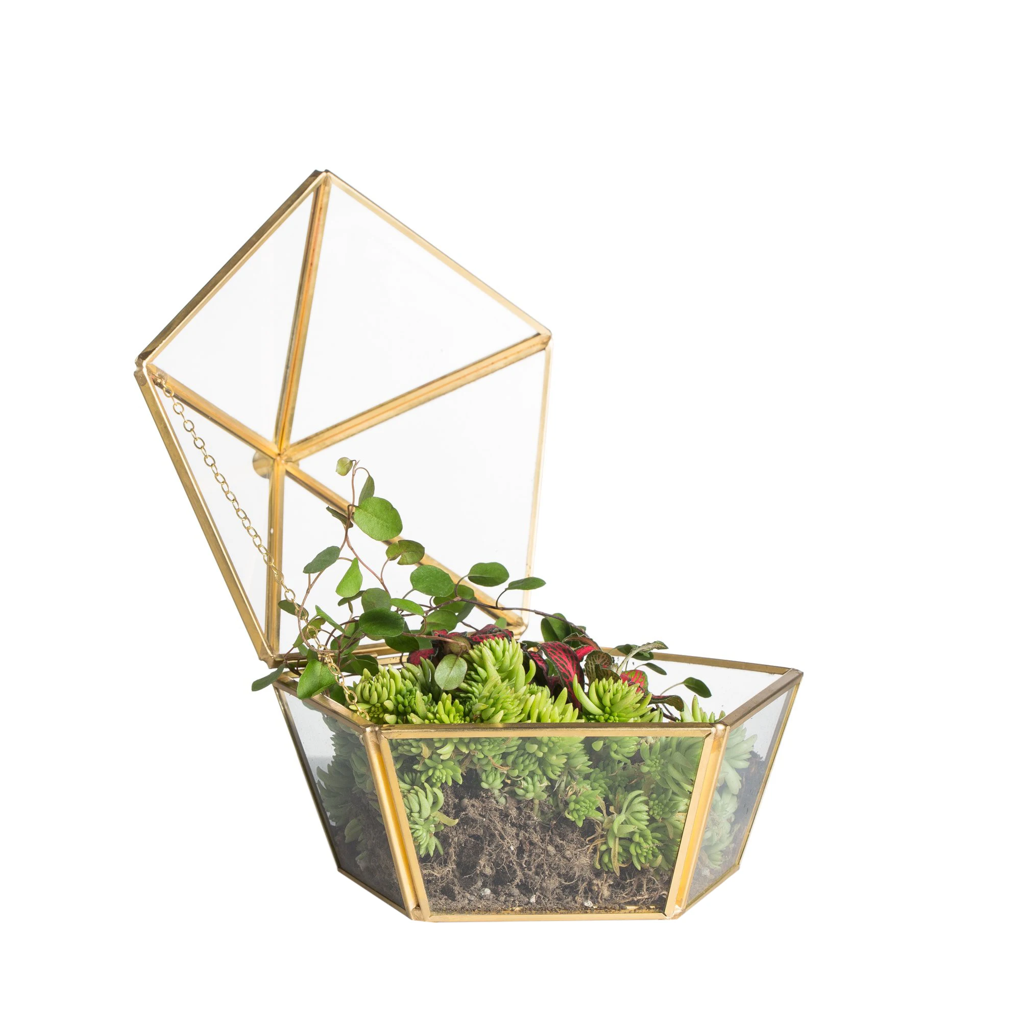 NISEVEN Factory Wholesales Succulent Plant Container With Swing Lid Modern Pentagon Shape Closed Geometric Terrarium Planter Pot