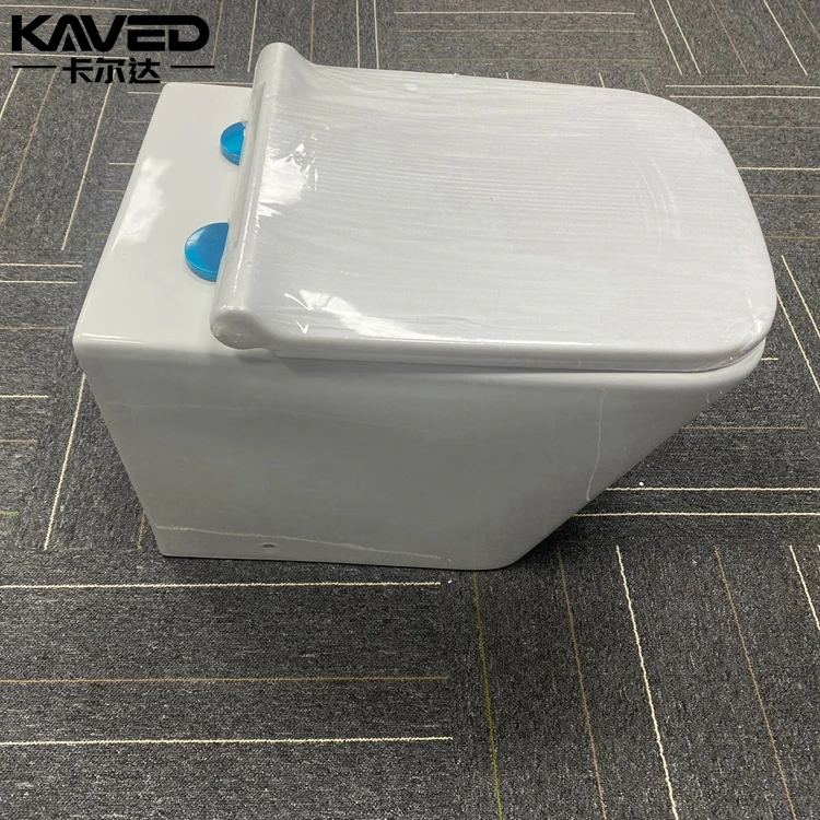 water closet back to wall hung concealed toilet sits bathroom wc