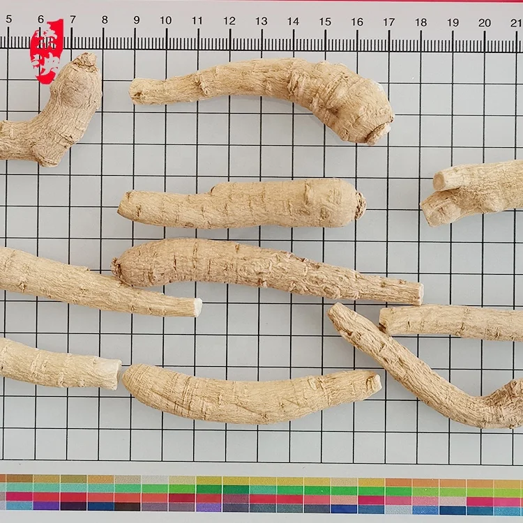 
Natural herbs extract high-quality American ginseng for health care products 