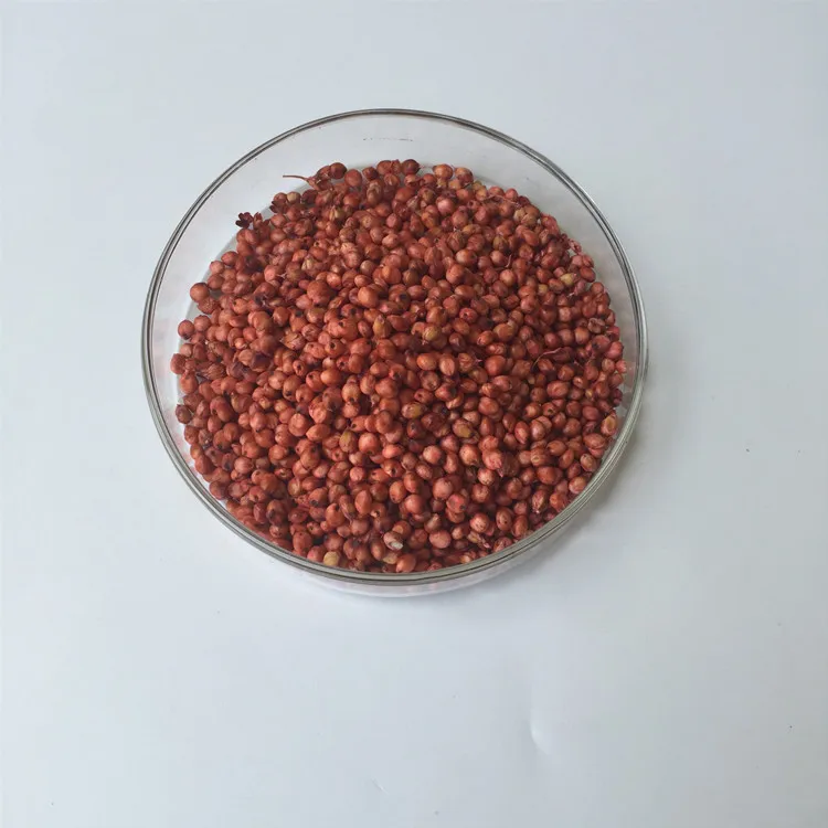 Price Of Seed Sorghum Sudan Grass For Goat Feeding