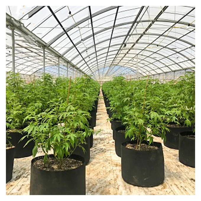 
Commercial Hemp medical plants black out light deprivation film dep blackout greenhouse 