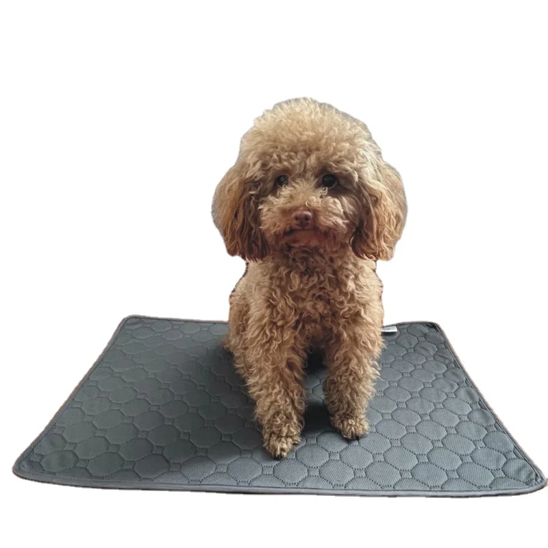 Pet Recyclable Urinal Pads Waterproof Pads for Cats and Dogs Pet Pads