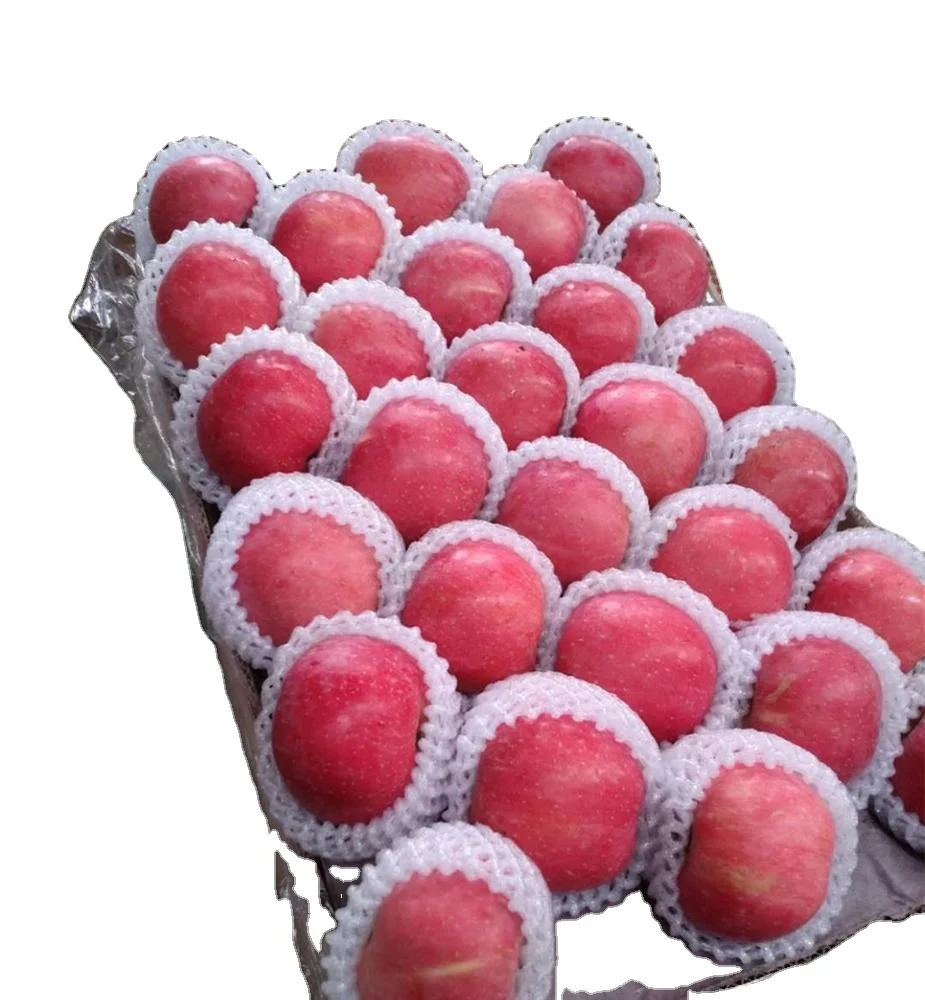 Chinese Yantai fresh red fuji apple