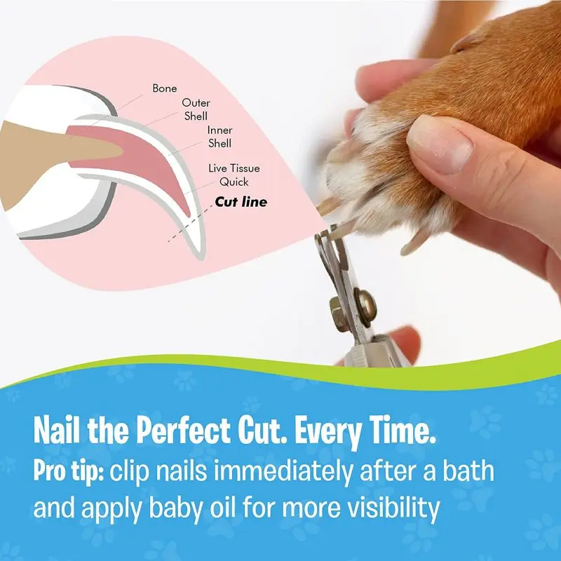 Manufacturer Custom Best Selling Professional Cat Pet Dog Nail Clippers and Trimmer