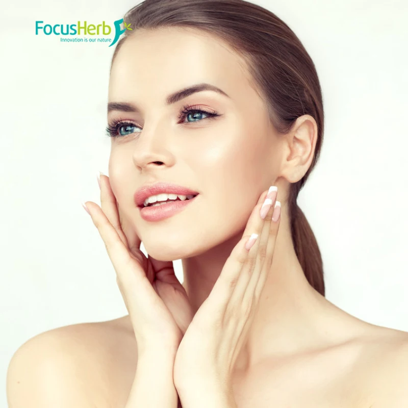 
FocusHerb Pure 99% Miu Vitamin A Palmitate Powder organic vitamin a water soluble 