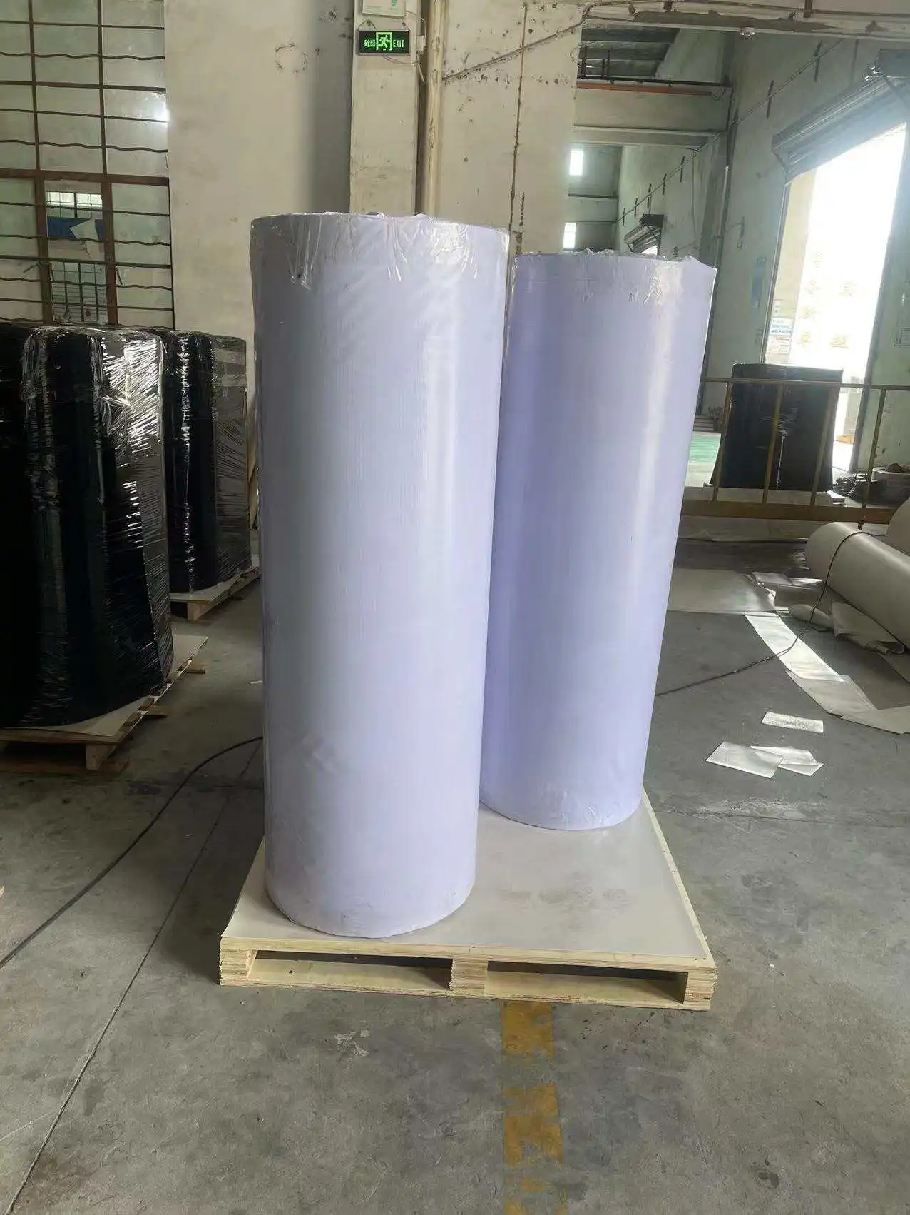 high quality 1mm PP Chicken manure remove belt polypropylene manure tape