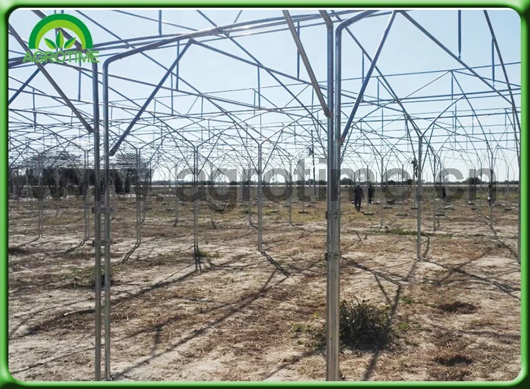 Argentina Projects Installed Commercial Hydroponic Plastic Film Green House Multi-span Agricultural Greenhouses