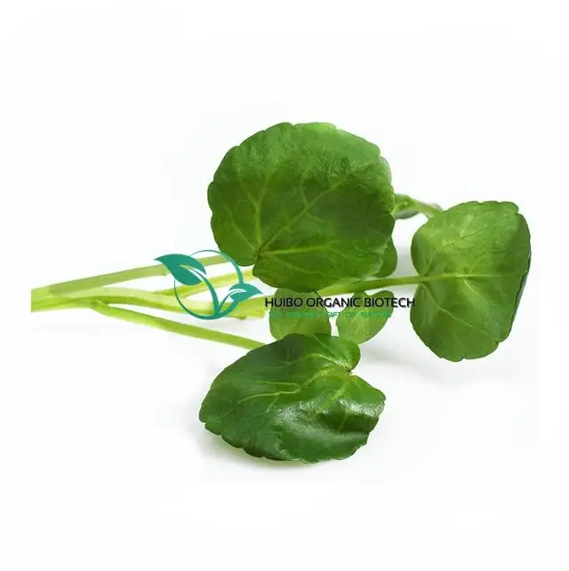 Bitter gourd tea / bitter melon slices tea / bitter melon powder