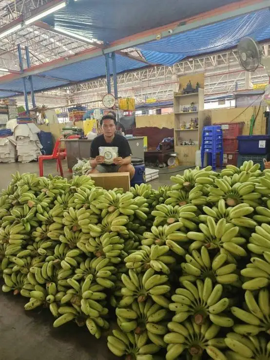 hot selling safe ethylene ripener mango ripener fruit ethylene ripening