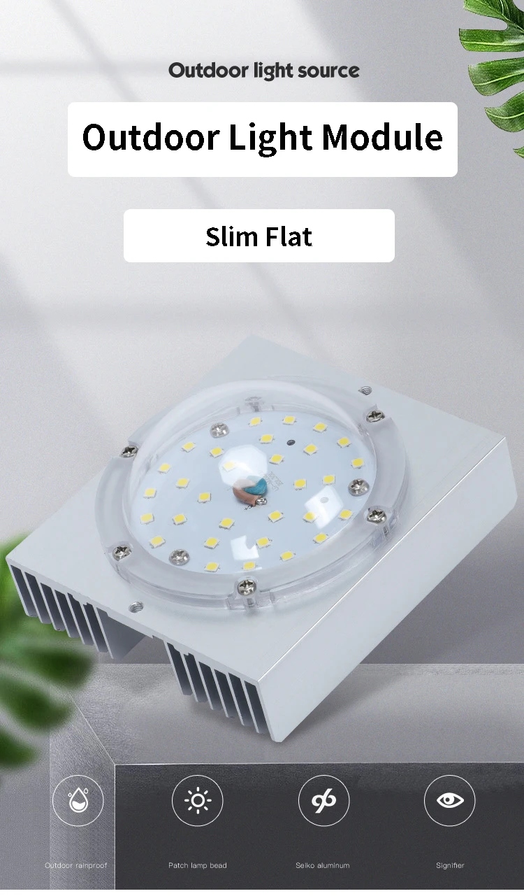 Flat module d1