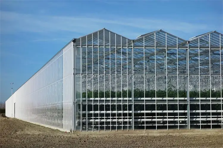 Automatic Glass Greenhouse Strawberry Picking Garden Greenhouse Solar Panel Greenhouse