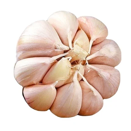 2022 белый чеснок, оптовая продажа, Натуральный Свежий Чеснок премиум класса, фиолетовый чеснок, экспорт с зазором