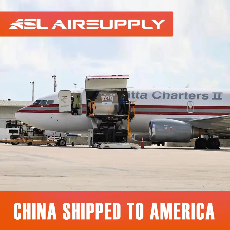 China Forwarder LCL Ocean Shipping to America Good Service FBA Cargoes