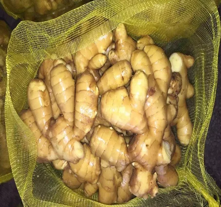 2022 New Crop Chinese High Quality Fresh Ginger for export