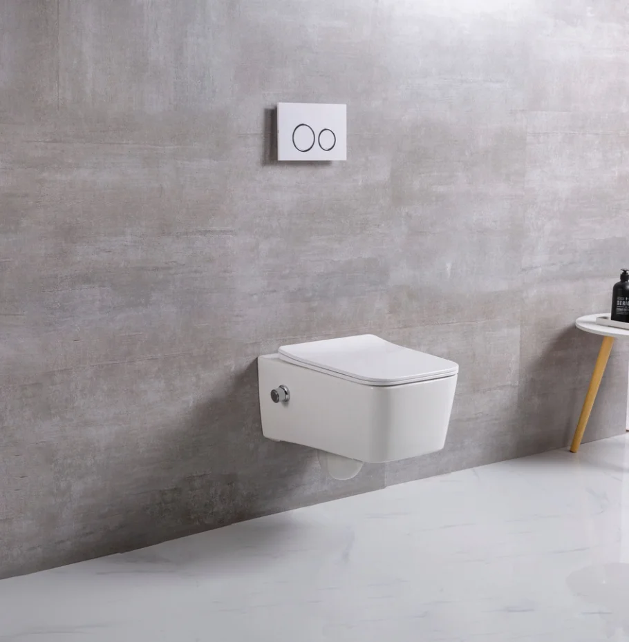 European inodoro ceramic wc wall mounted toilets  with bidet function