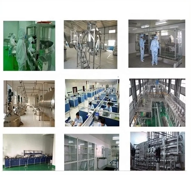 Neutral Lactase 5000NLU/g Liquid Dairy/Milk Enzyme