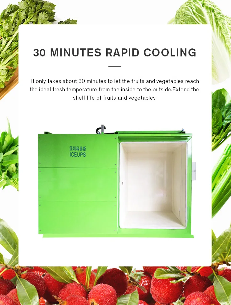 Вакуумный кулер для фруктов и овощей, подходит для свежих овощей и т. д., вакуумный охладитель для овощей и фруктов, вакуумный охладитель для фруктов