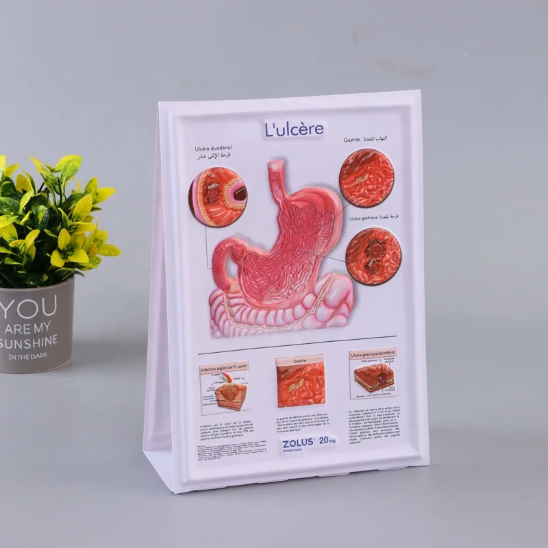 customized 3D Medical Human Anatomy Wall Chart / Poster - desk poster