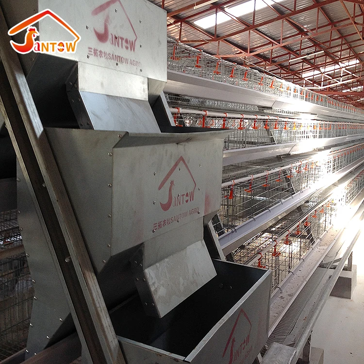 Chicken Poultry Layer Cages System