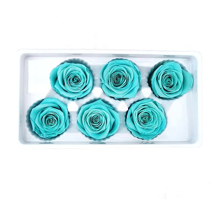 
Long Lasting Roses Kunming Yunnan 5-6cm Real Touch Rose Flower Head For Flower Wall 