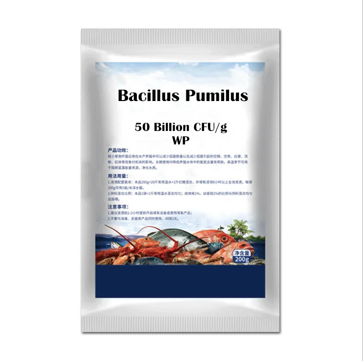 Aquaculture Fish Shrimp Environment Bacteria Crab Sewage Treatment Bacillus Pumilus 50 Billion