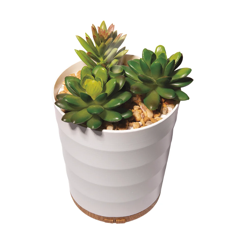 Wholesale Potted Succulent  household 100ml USB Aroma Oil Diffuser