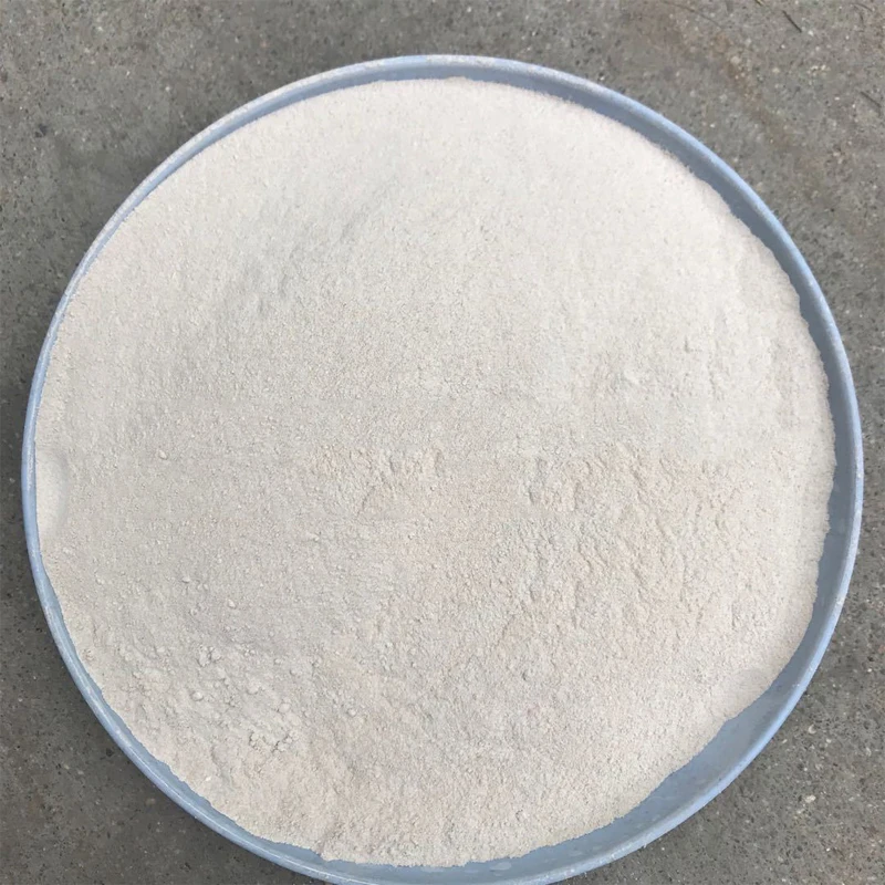 Agricultural Grade Biological Fertilizer Powder Additive Bacillus Mucilaginosus