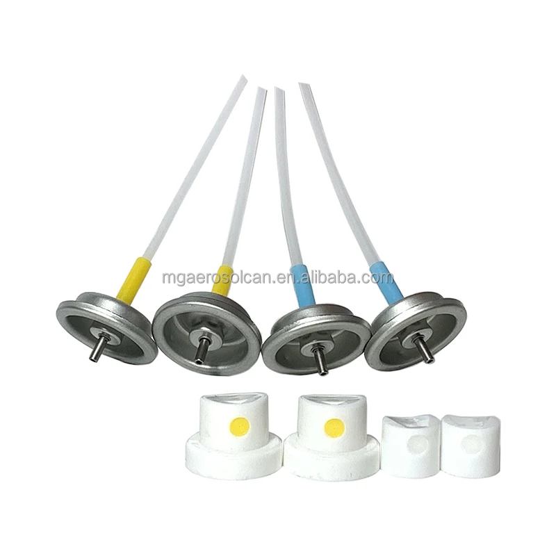 OEM/ODM 1 Inch standard Metered Aerosol Spray Aerosol Valve for Air Freshener Metering Valve and Actuator
