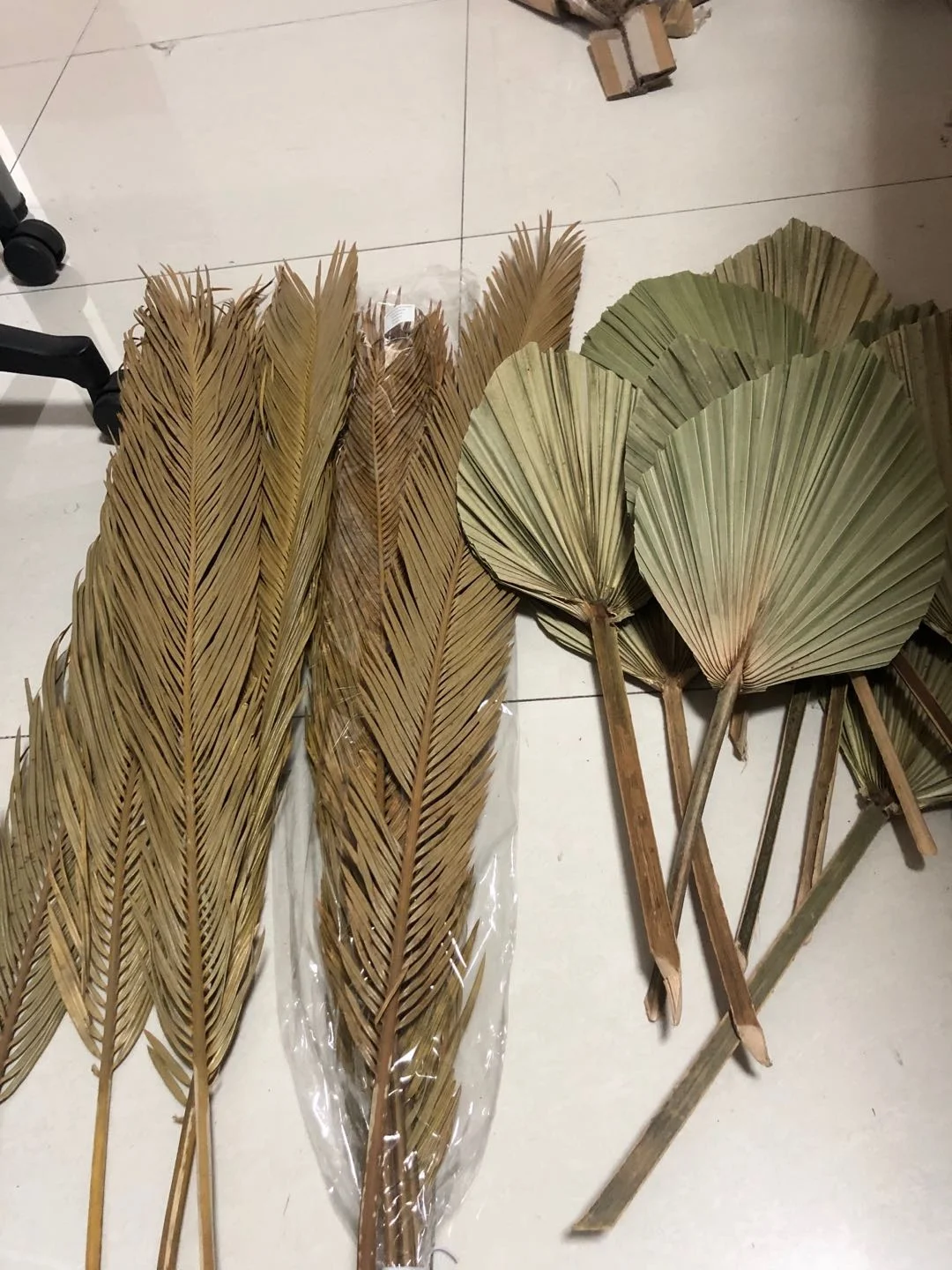 YAYUN W-3020 Wholesale Party Home Decoration Dried Palm Tree Leaves Spear