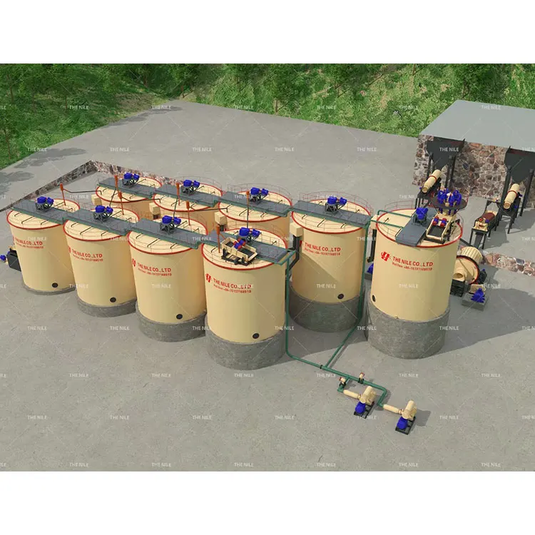 Attractive Price Small Scale Gold Leaching Plant 10Tpd Cip Plant Cil Plant